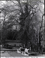 Photo only available in the library